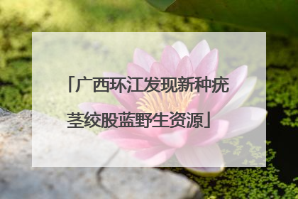 广西环江发现新种疣茎绞股蓝野生资源